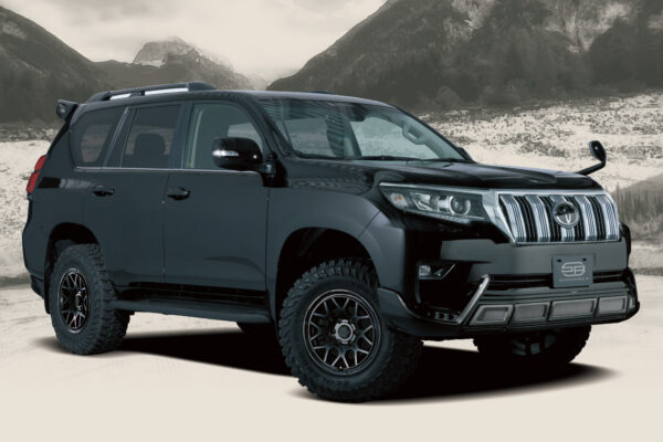 head-img-stadt2-gallery-lcp