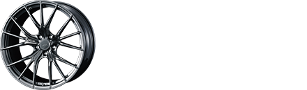 F ZERO FZ-1