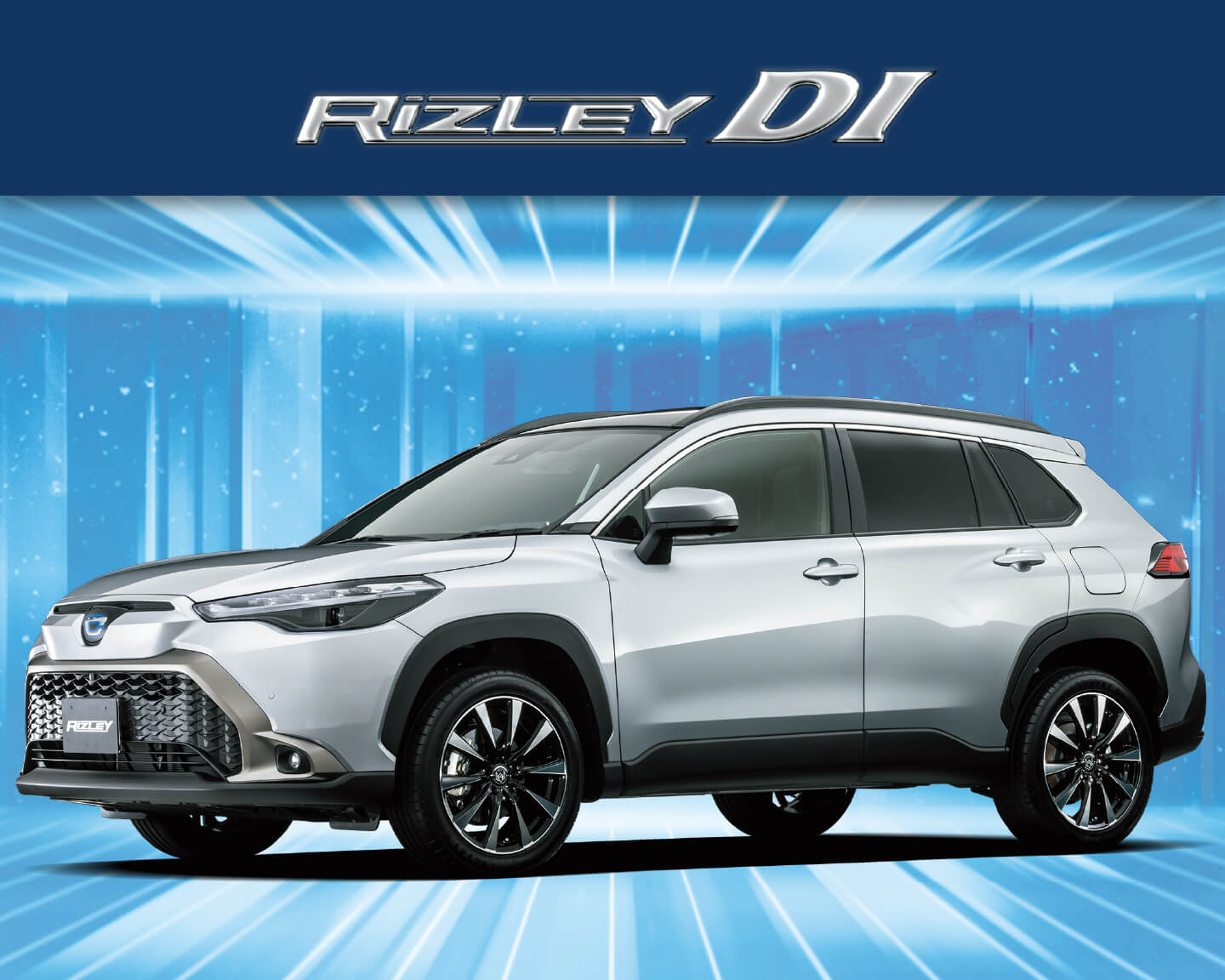 RIZLEY DI – weds CO., LTD. | 株式会社ウェッズ