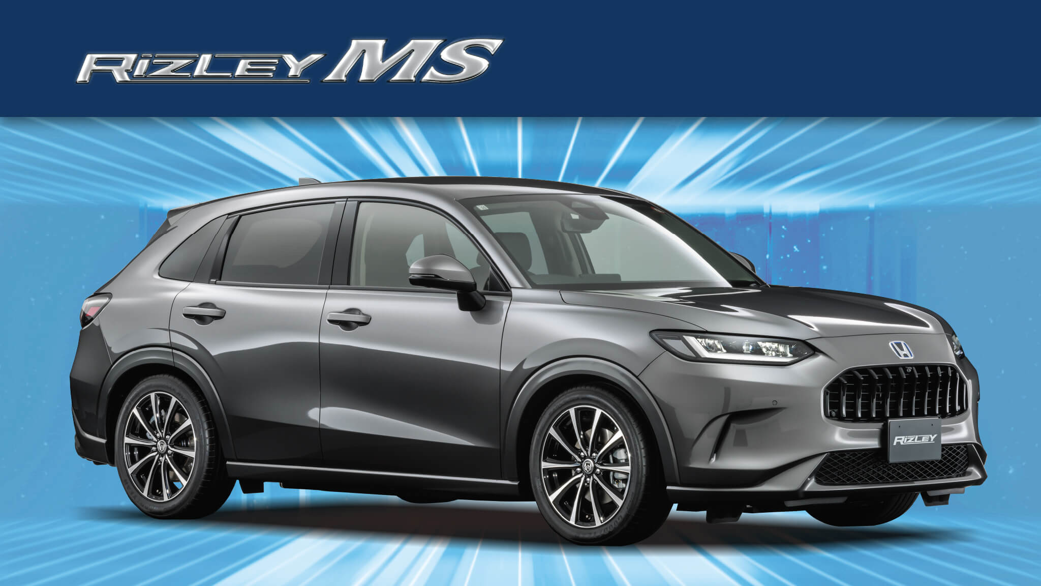 RIZLEY MS – weds CO., LTD. | 株式会社ウェッズ