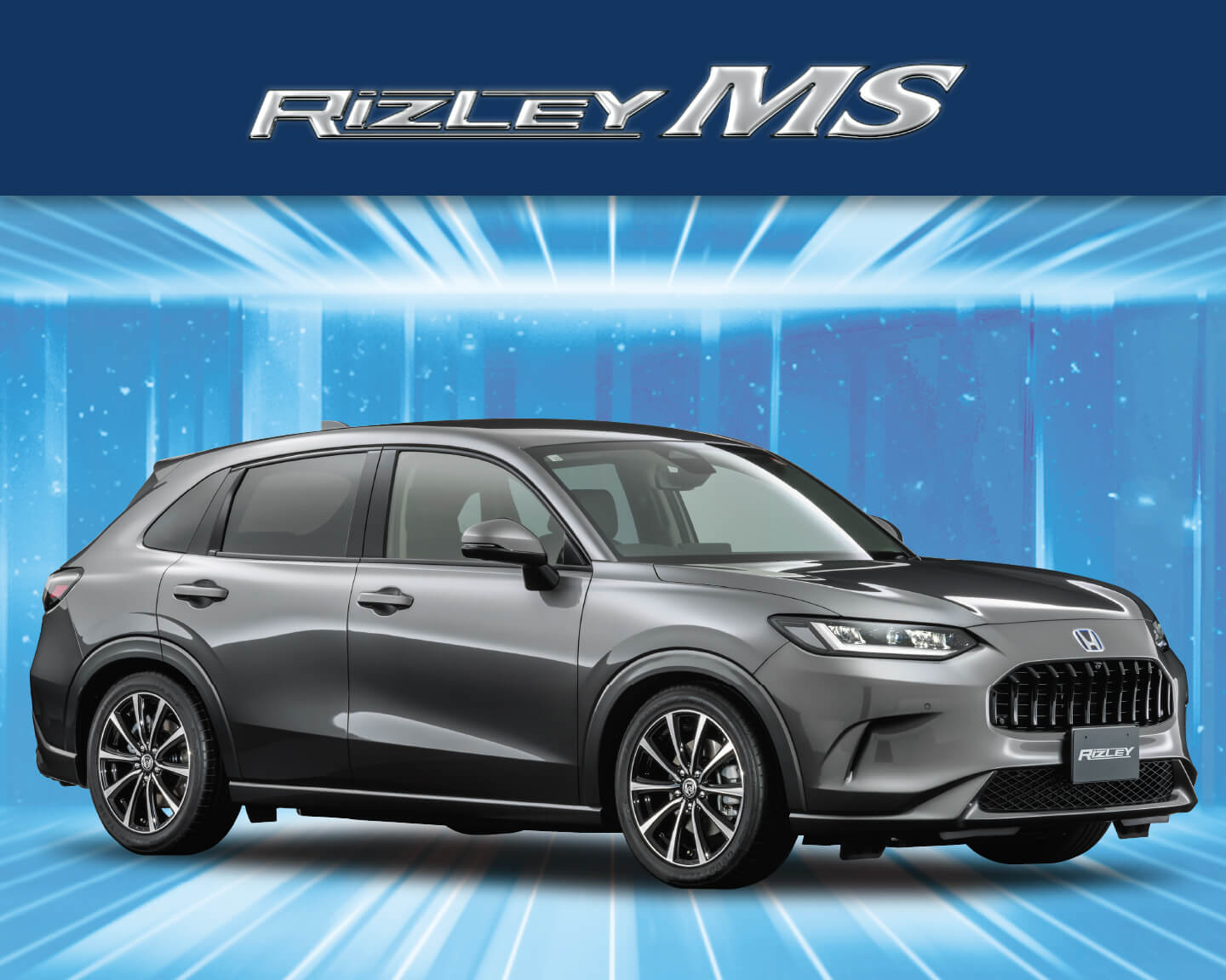 RIZLEY MS – weds CO., LTD. | 株式会社ウェッズ