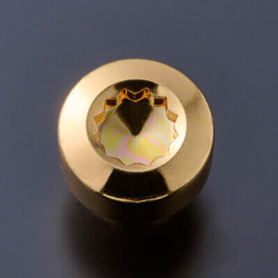 ゴールド ピアスボルト （オプション）